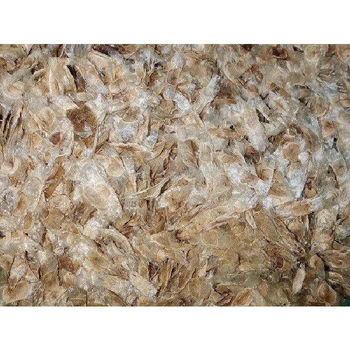 Hạt Giống Cây Hoa Phong Linh Tím CT543 - Gói 5 hạt