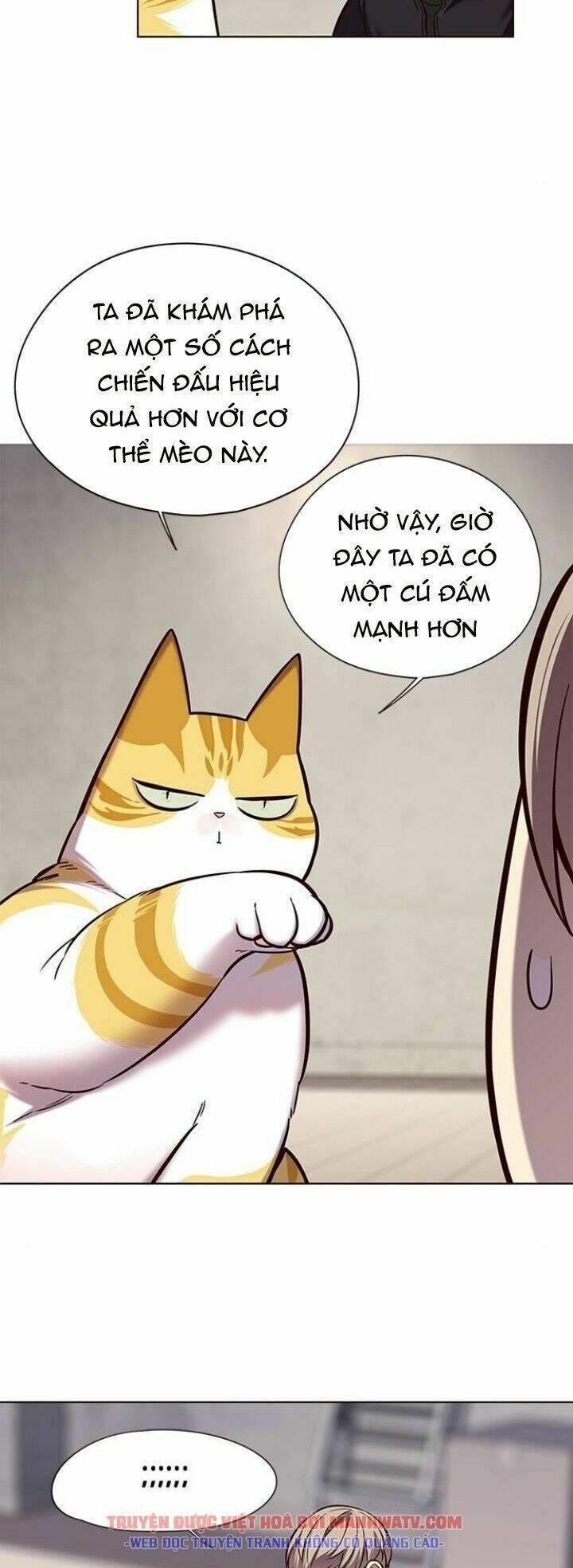biến thân thành mèo chapter 116 35