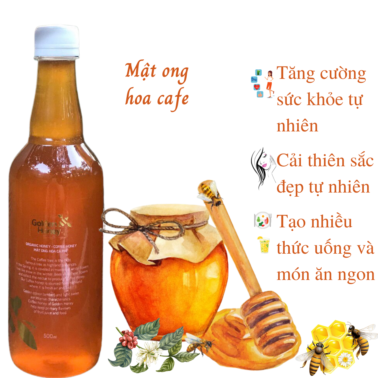 Mật Ong hoa cà phê nguyên chất Golden Honey - tăng sức đề kháng, giảm ho, viên họng, dưỡng ẩm da và môi cang bóng mịn màng - Massel Official