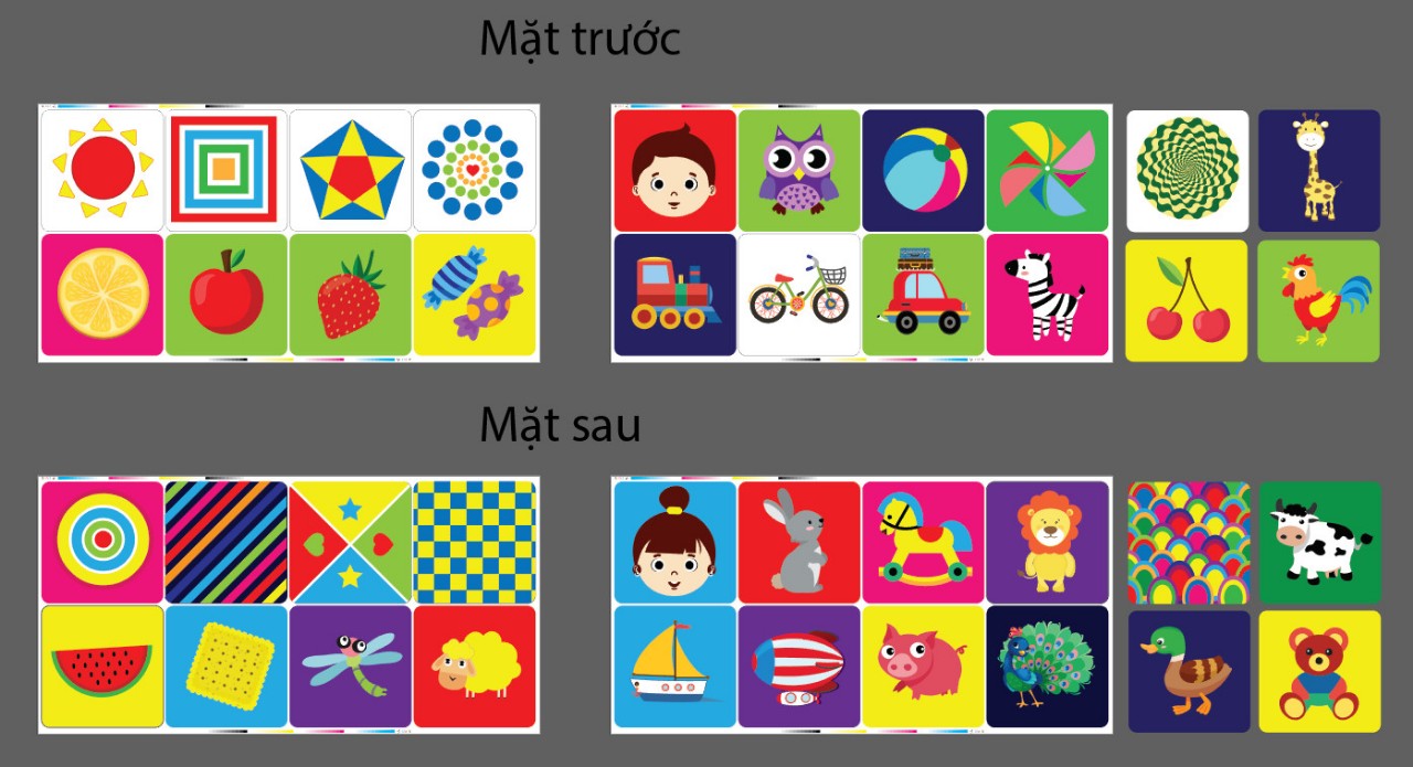 Flashcard Kích Thích Thị Giác (Dành Cho Trẻ Từ 0 Đến 1 Tuổi +) 4 Chủ Đề - KT 21x21 cm - 80 Thẻ
