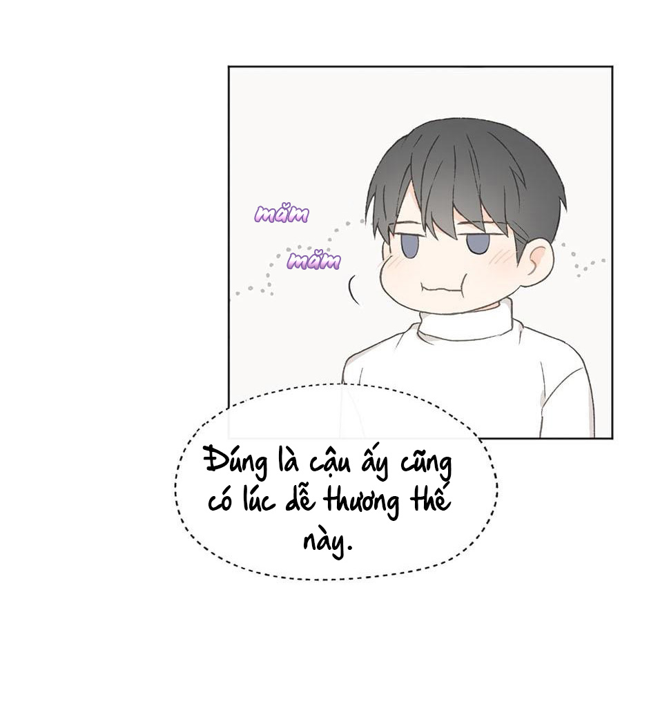 yêu hay không yêu chapter 19 19