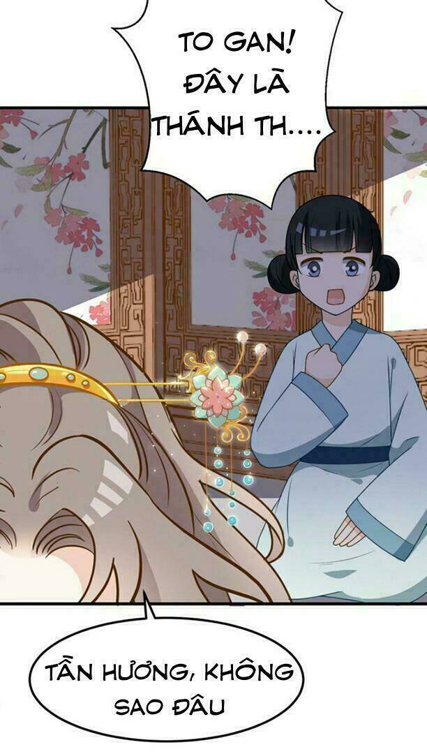 sự tái sinh của nhiếp chính chapter 4.6 18