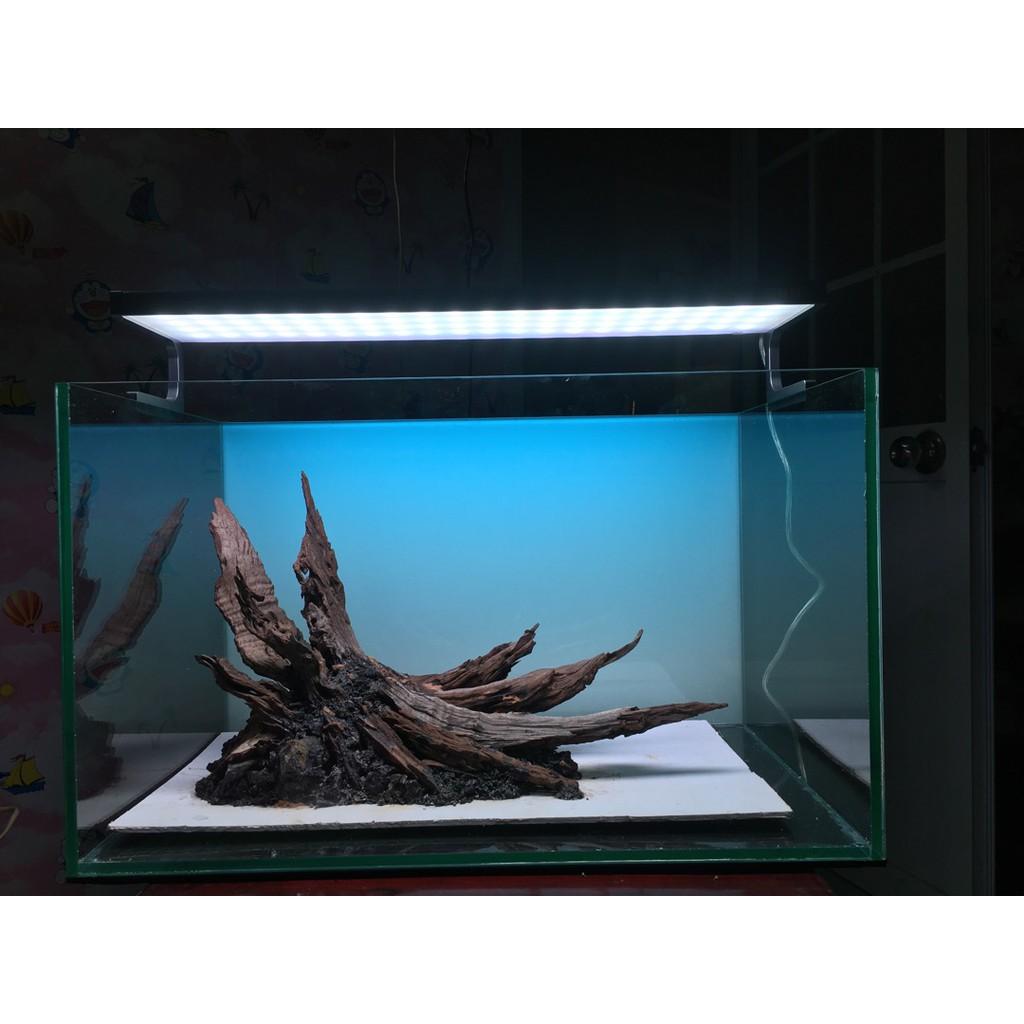 Tranh 3d dán bể cá trang trí bể cá nhiều kích thướt chọn lựa