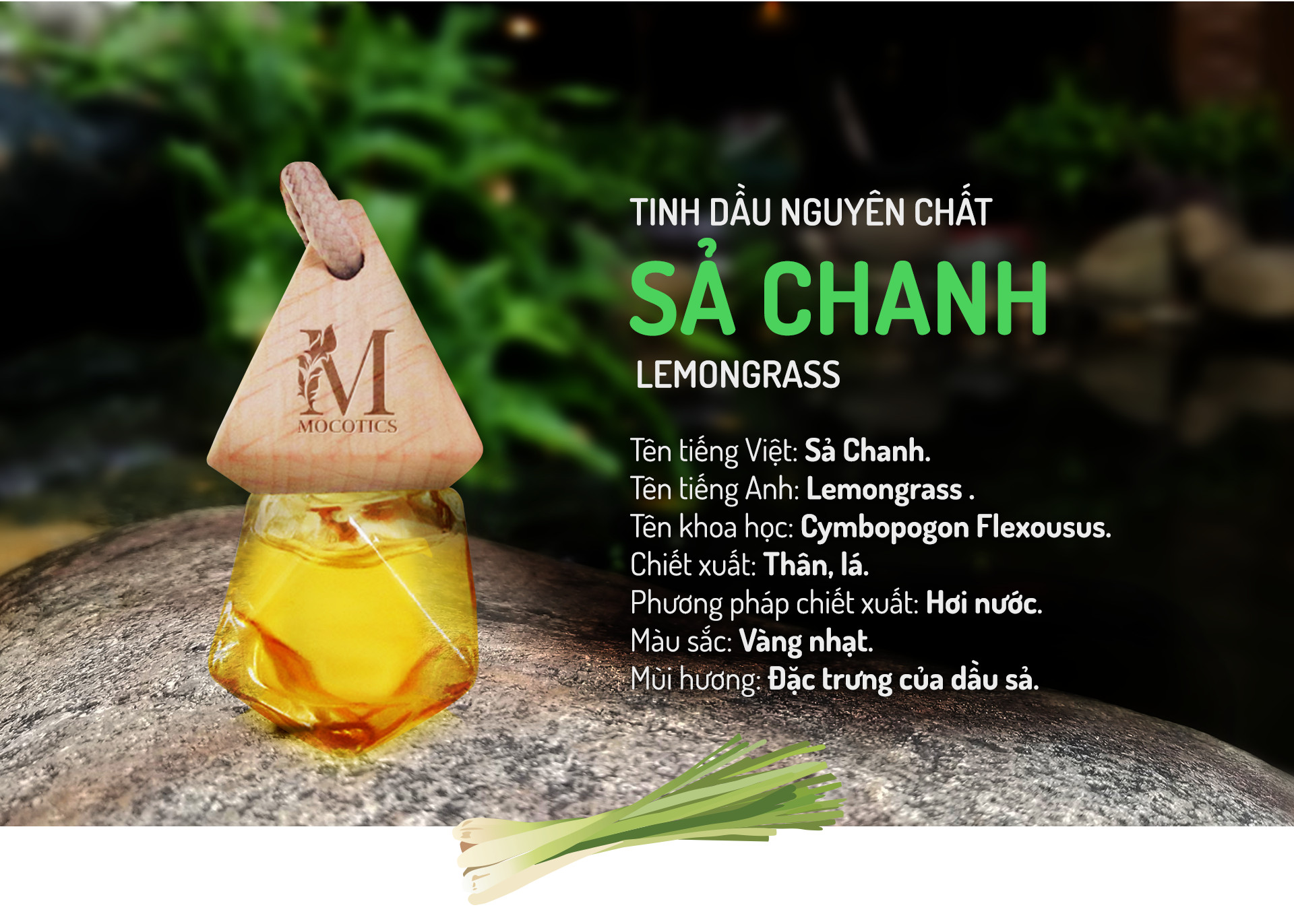 Tinh Dầu Sả Chanh Treo Xe Ô tô MOCOTICS, Treo Tủ Quần Áo, Giúp Khử Mùi, Thơm Phòng, Chống Say Xe Hiệu Quả