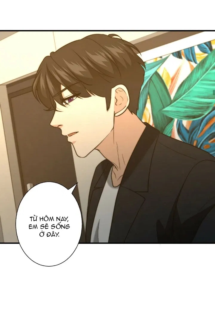 bí mật của omega k chapter 23 26