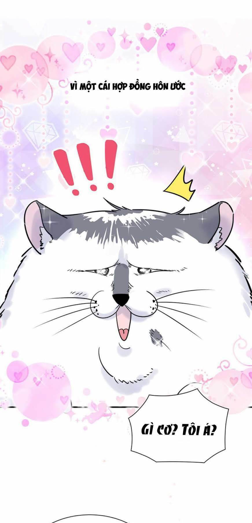 ứng cử viên hôn phu của ta chapter 1 4