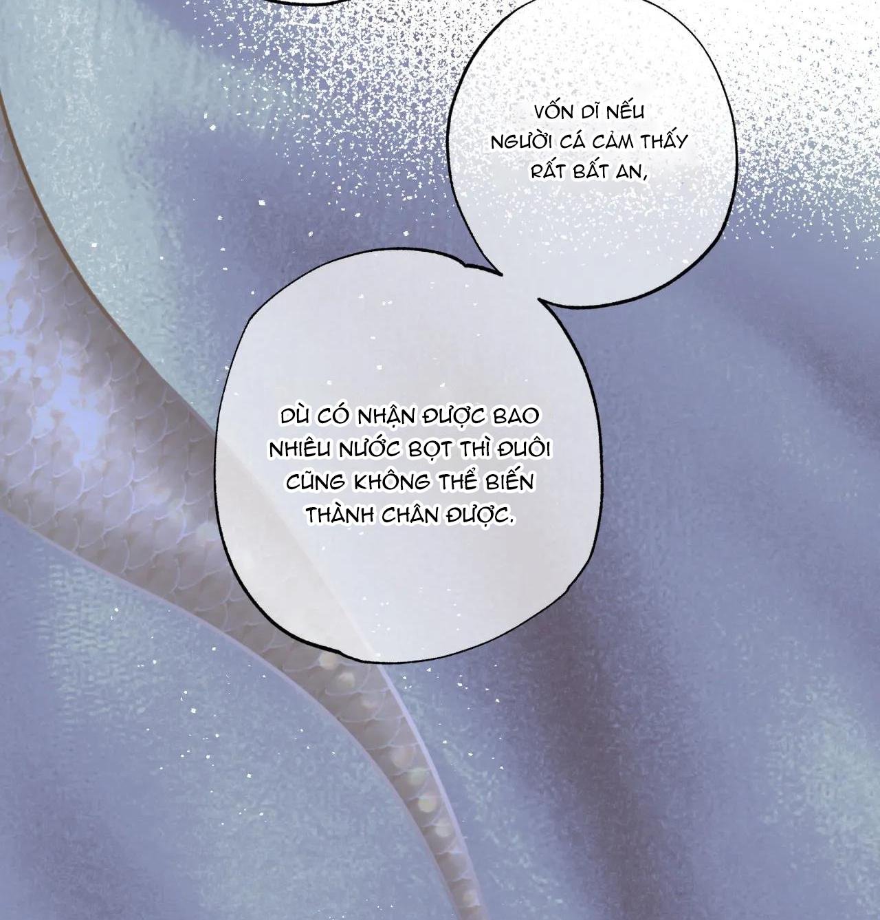 mỹ nhân ngư chapter 10 12