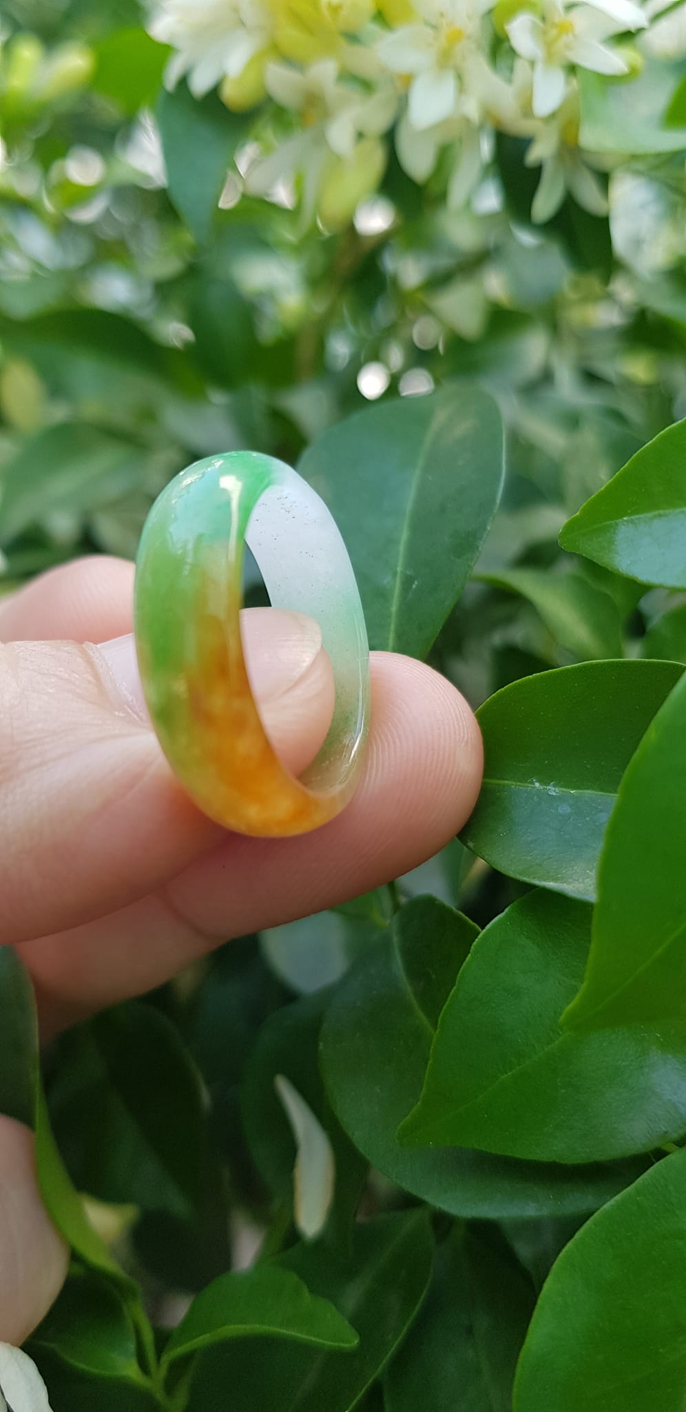 Nhẫn đeo tay nữ đá cẩm thạch tự nhiên Màu Vàng xanh trắng bóng đẹp Nhẫn Ni 17mm x cao 6mm x dầy 2,2mm ạ