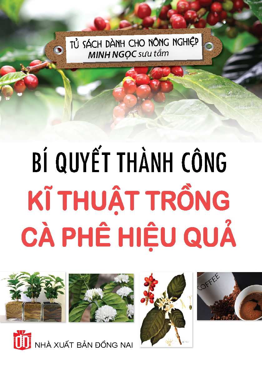 Bí Quyết Thành Công Kĩ Thuật Trồng Cà Phê Hiệu Quả - KV