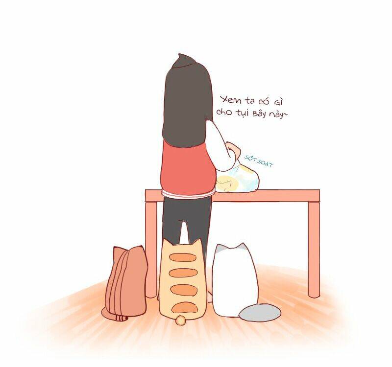 saphie: chú mèo một mắt chapter 5 2