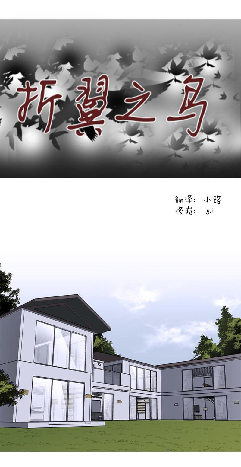 the wing chapter 5 5