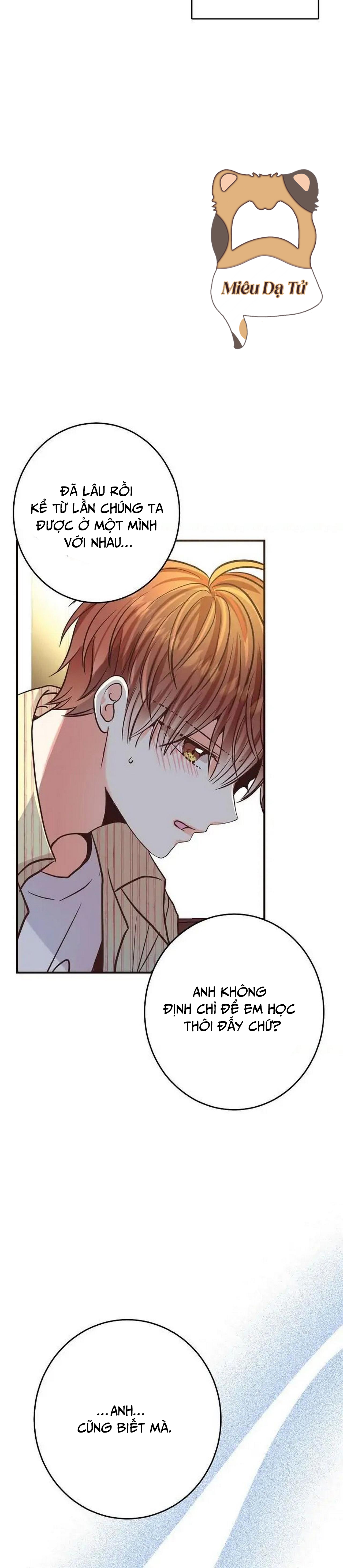 mối quan hệ phù hợp chapter 24 21