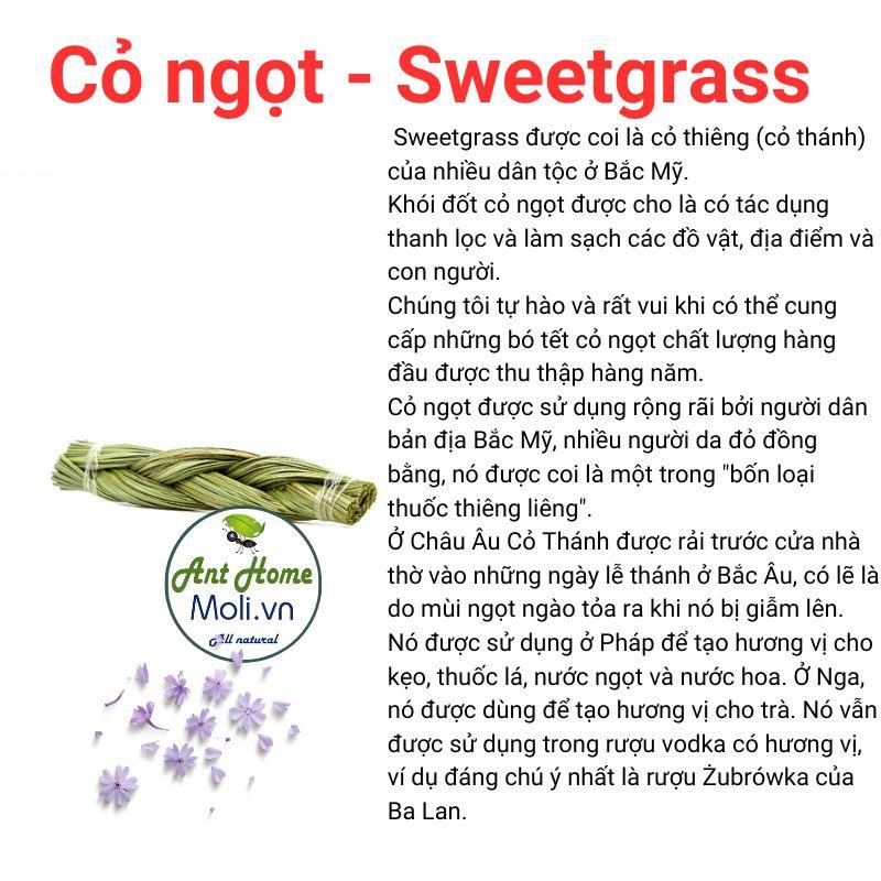 Hình ảnh Sét 3 món xô thơm trắng + Palo santo + Cỏ ngọt sweetgrass thanh tẩy nhà cửa