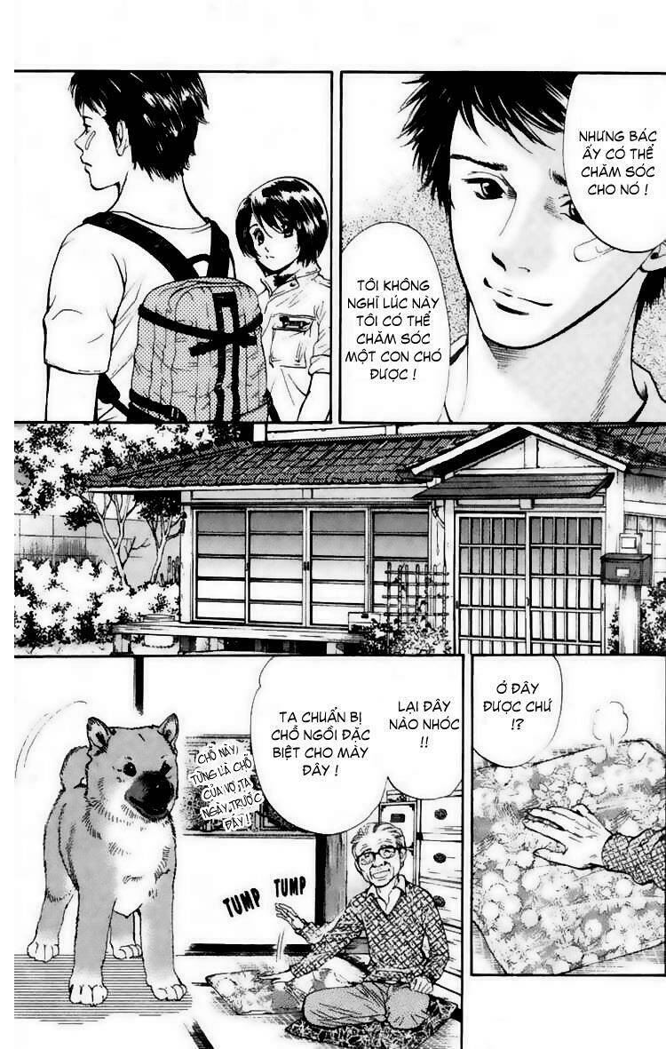 cô nàng yêu chó chapter 19 8