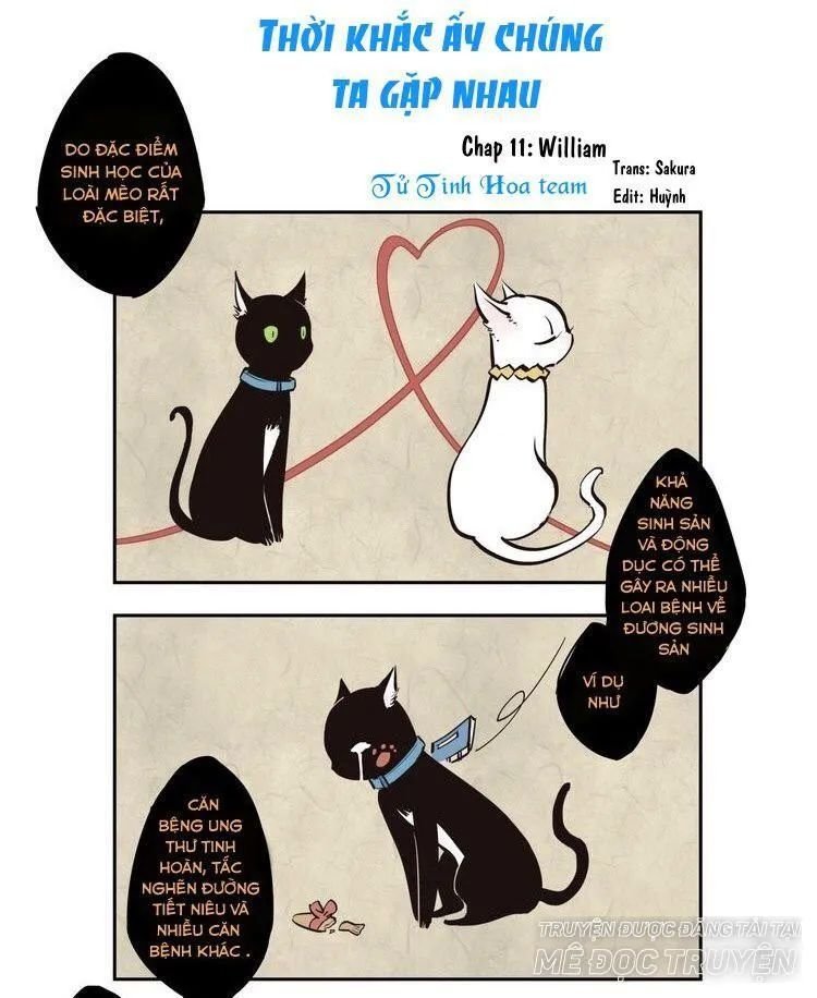 thời khắc ấy, chúng ta gặp nhau chapter 11 1
