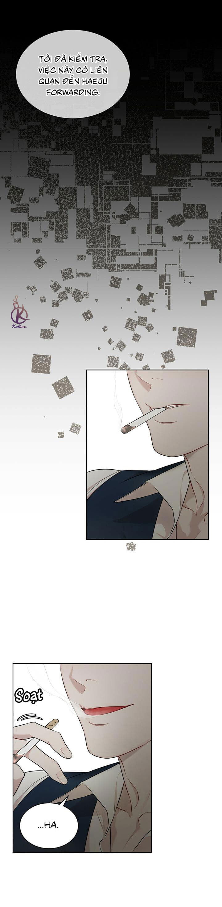 hình thái khởi sinh chapter 34 29