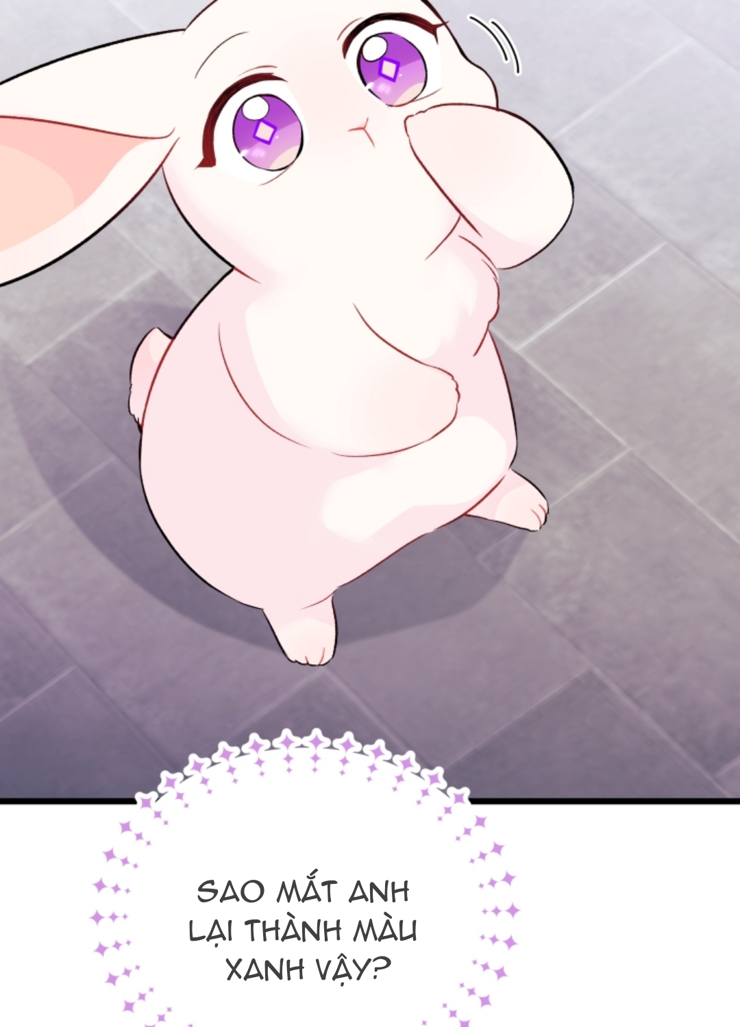 mối liên kết giữa báo đen và bé thỏ chapter 35 38