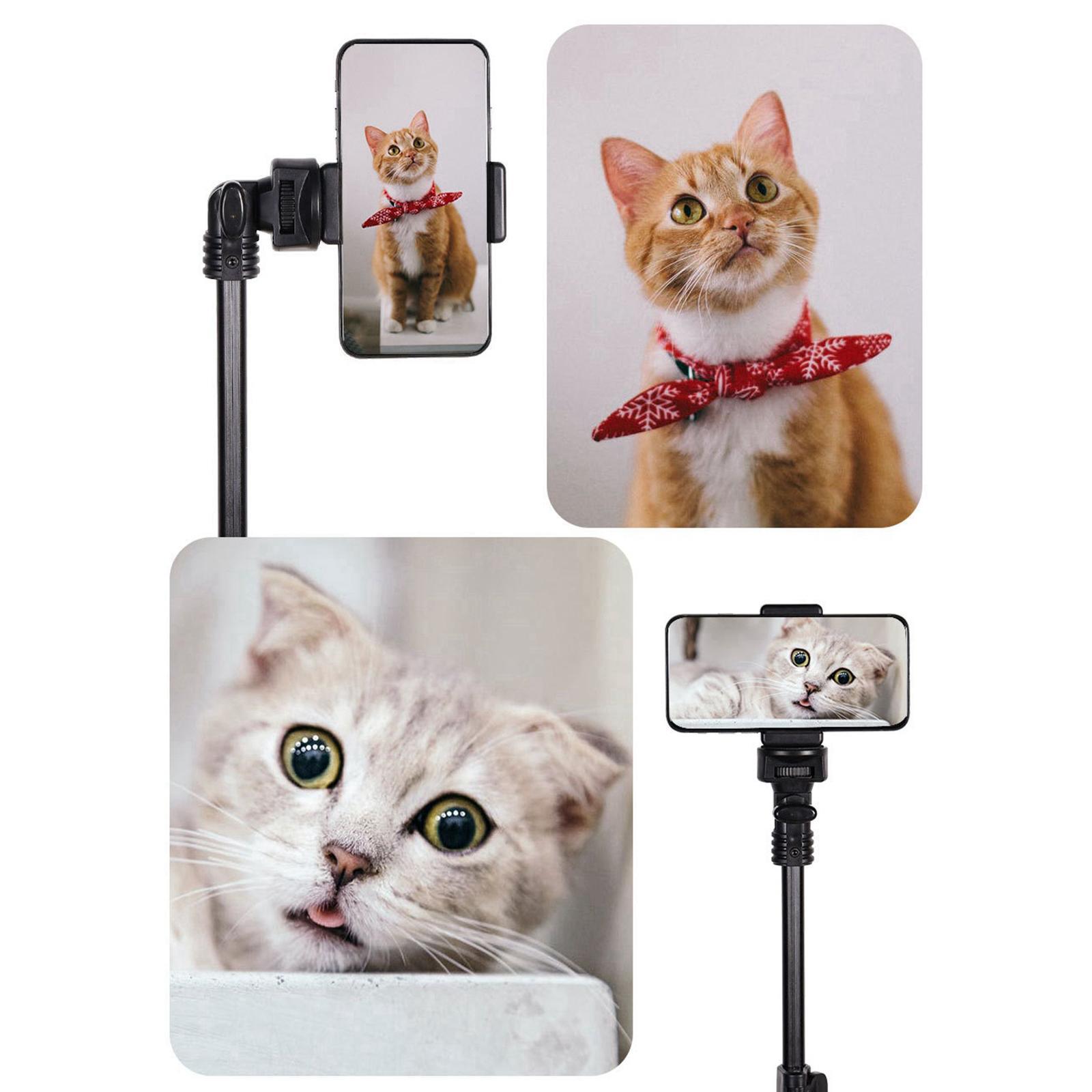 Black Phone Tripod 63 inches Extendable Selfie Stick Tripod Stand Holder