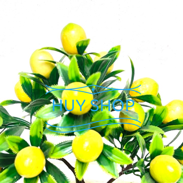 Chậu cây HOA TRÁI  nhân tạo trang trí nhà cửa