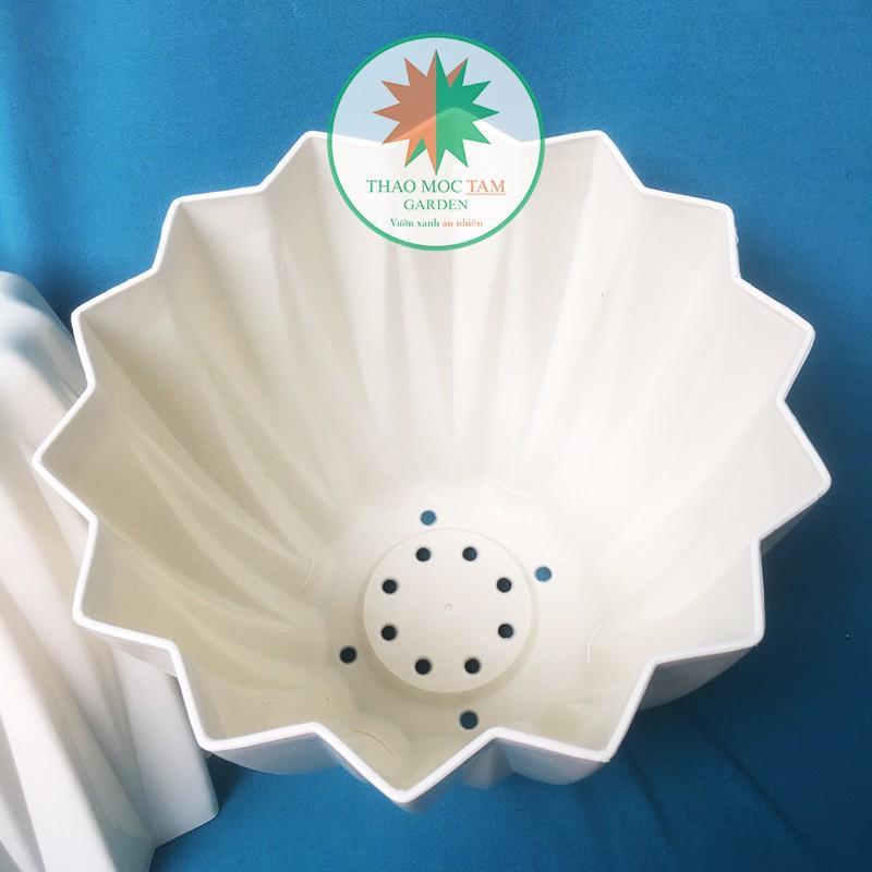 05c Chậu Kim Cương 28x25cm cạnh khế – Chậu nhựa kim cương nhiều cạnh, trồng hoa, cây kiểng trang trí sang trọng