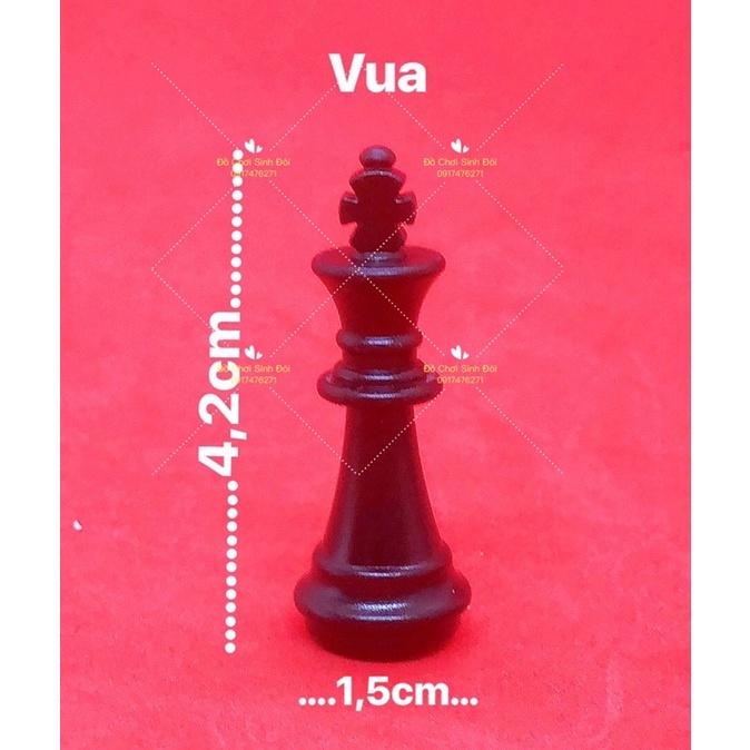 Phụ kiện của bàn cờ vua nhỏ - con cờ có nam châm