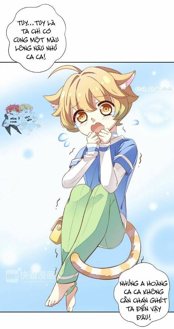 miêu trảo chi hạ chapter 1 11