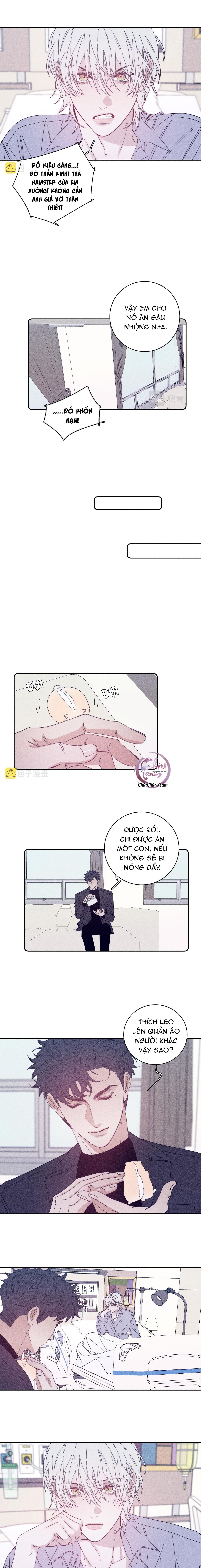 mùa xuân đang đến chapter 70 5