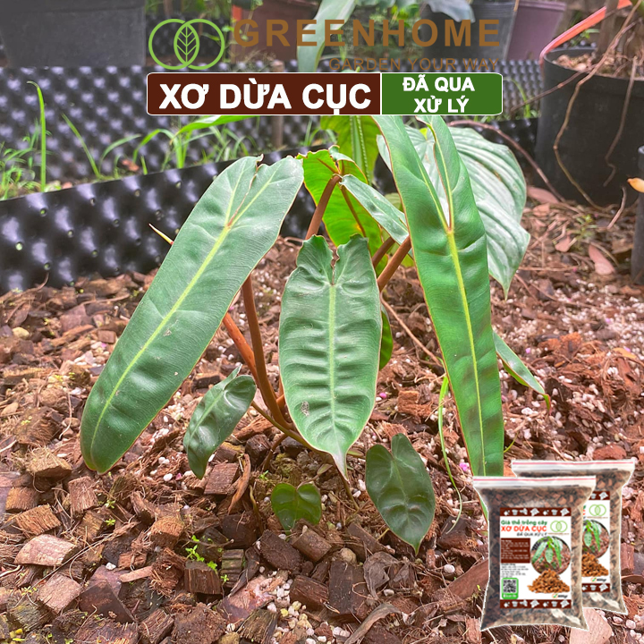 Xơ dừa cục đã qua xử lý, size 1-2cm, bao 400gr, giá thể kiểng lá, phong lan |Greenhome