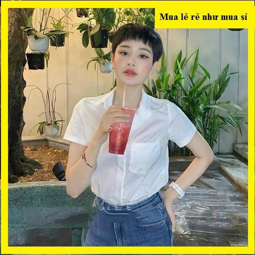 Sơ mi công sở vải mát-không nhăn