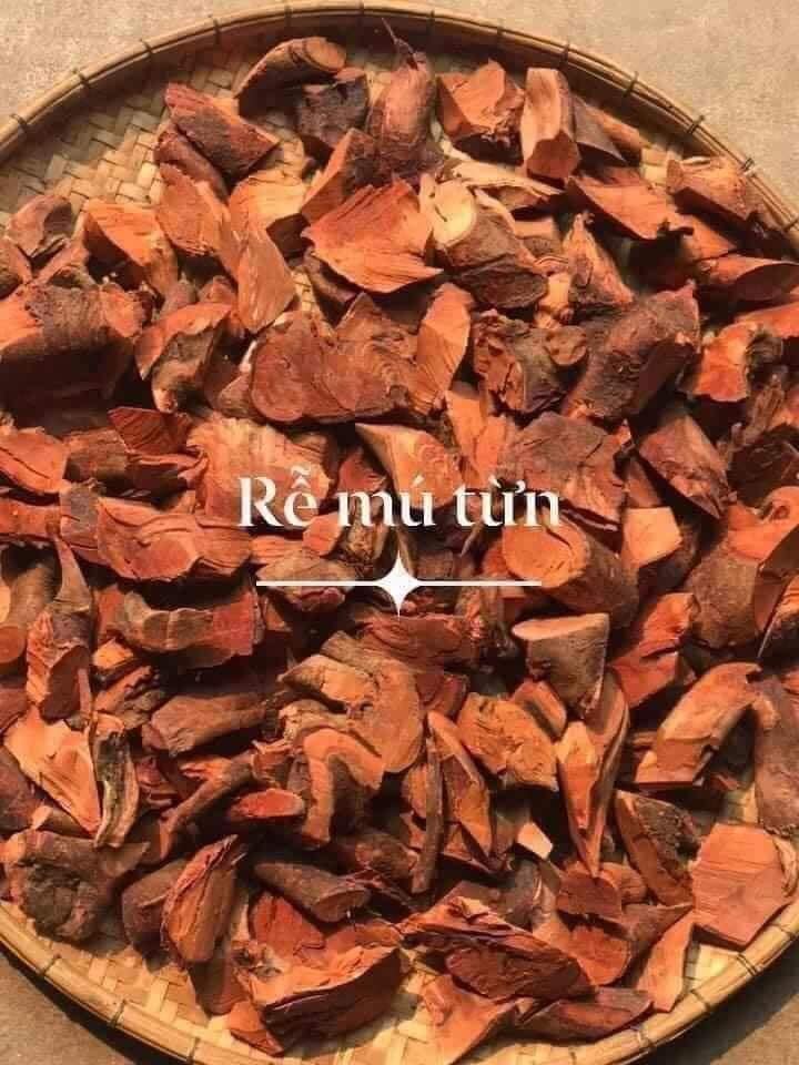 rễ cây mu từn phơi khô 1kg