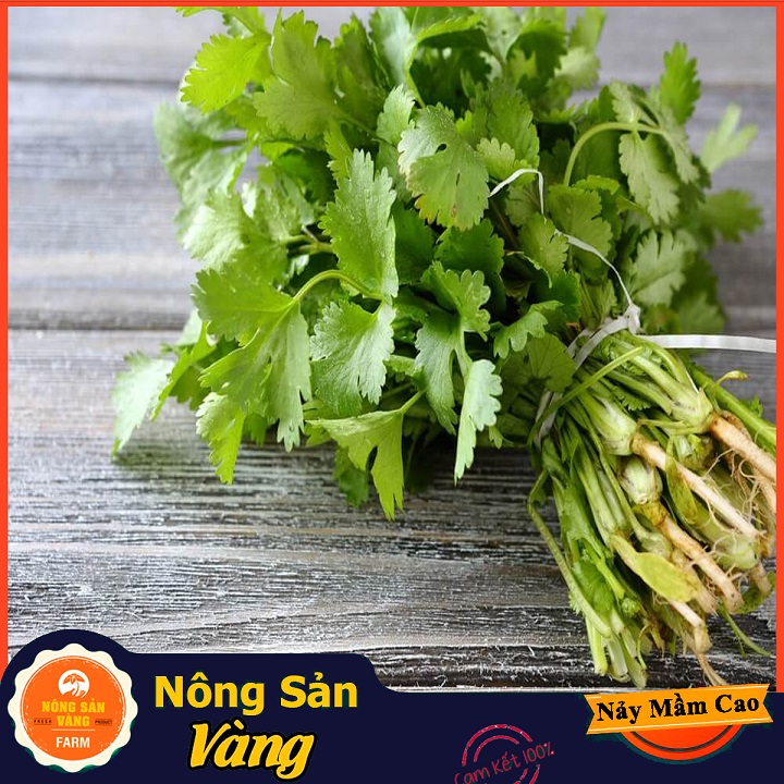 Hạt giống Rau Ngò Ta (Ngò Rí) ( Gói 20 Gram ) - Nông Sản Vàng