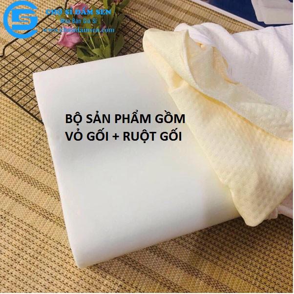 Bộ vỏ và ruột gối CAO SU NON cho người lớn, gối cao su non chống ngáy siêu mềm mại