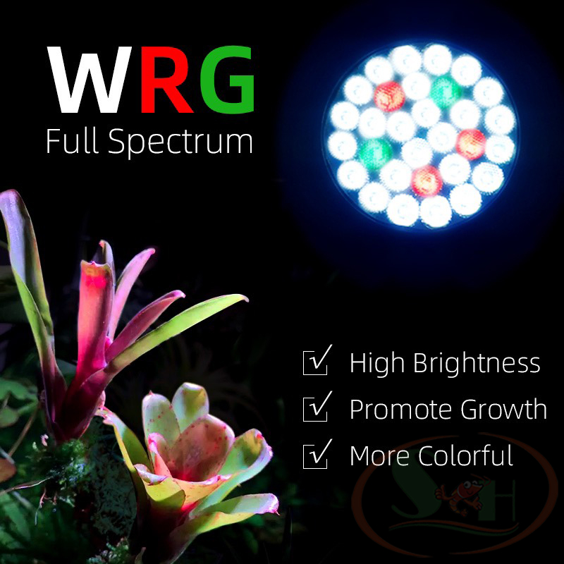 Đèn rọi ray Week WRG Rainforest Light Y series Y30, Y35 bể thủy sinh tiểu cảnh bán cạn biotop