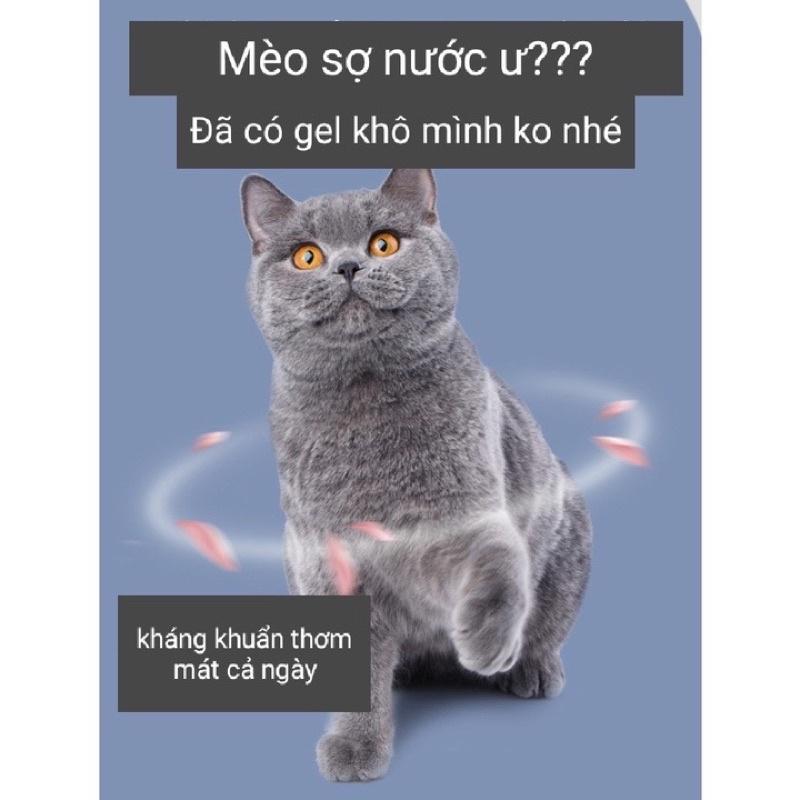 Sữa tắm khô dưỡng lông- Bọt tắm khô- sữa tắm dạng bọt cho chó mèo tạo bọt DorriKey 200ml
