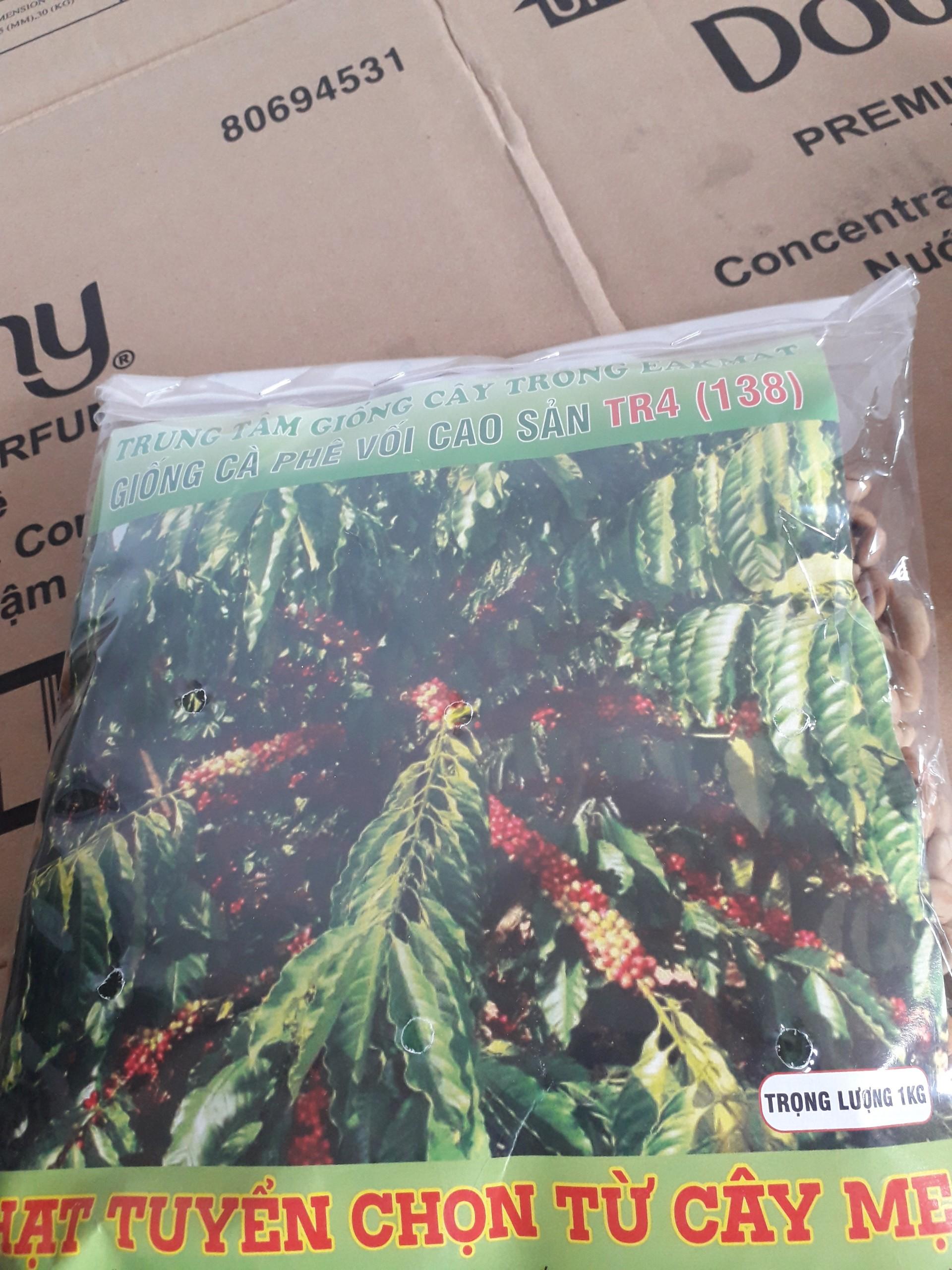 1 KG Hạt giống Cà Phê Vối cao sản TR4