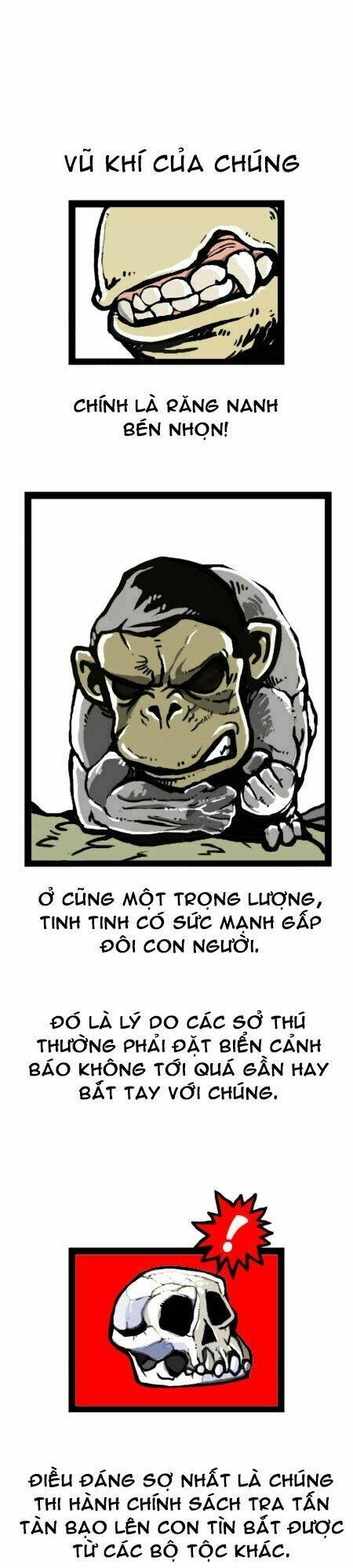 earth, human, and animal chapter 15 13