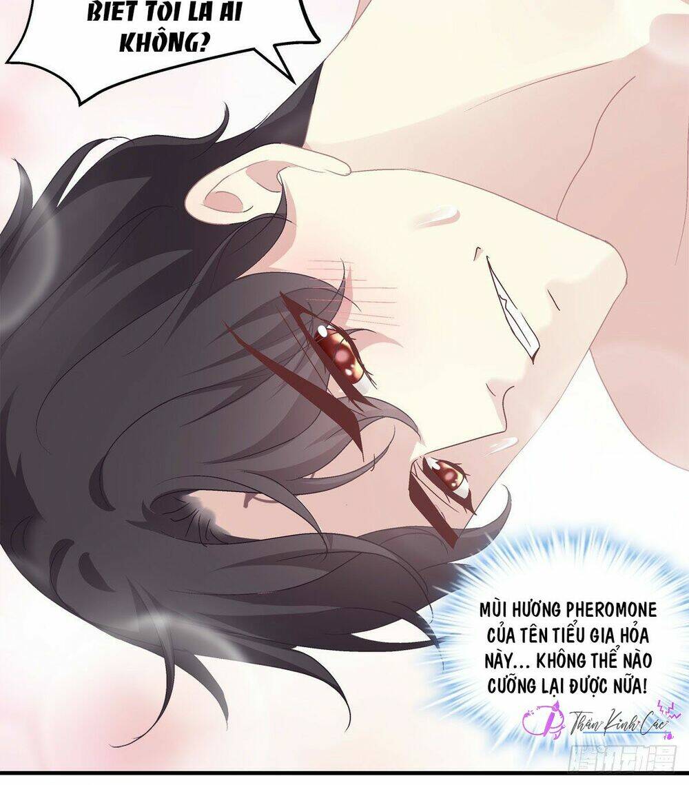 toàn bộ nắm trong tay chapter 25 30