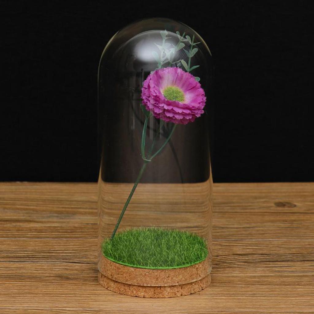 2xGlass Cover Landscape Terrarium Container Lid Vase Bottle 8x18cm