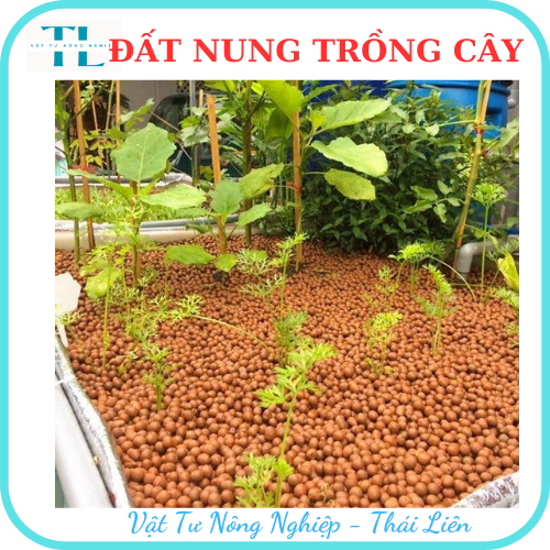 Hạt đất nung trồng cây thái lan, nhiều size, vô trùng, sử dụng lâu dài, trồng sen đá, phong lan, sứ, thuỷ canh (Bịch 1dm3 = 0.5kg)