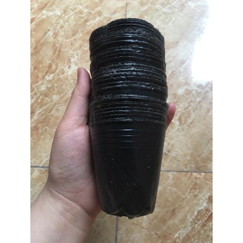 Sét 50 bầu đen ươm cây 8x8 chỉ 8 nghìn