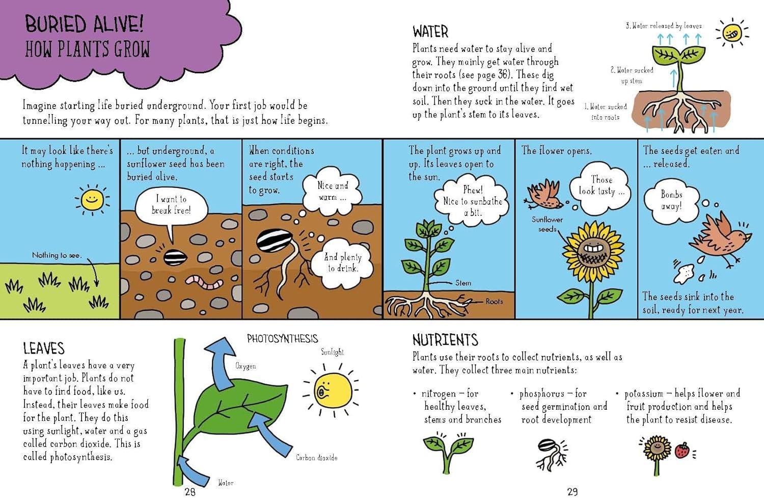 Sách ngoại văn: Comic Strip Science - Biology