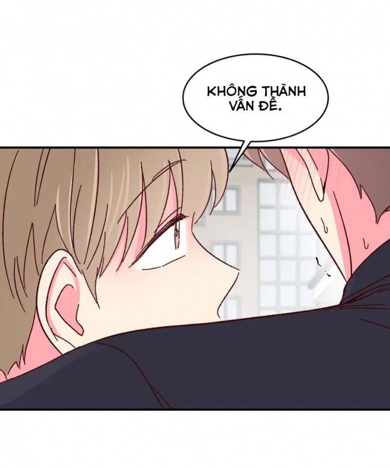 món tráng miệng của sếp tổng chapter 54 41