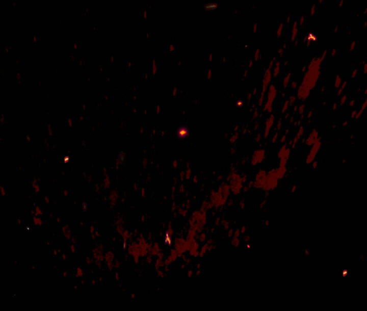 cha, con không muốn kết hôn đâu chapter 110.1 56