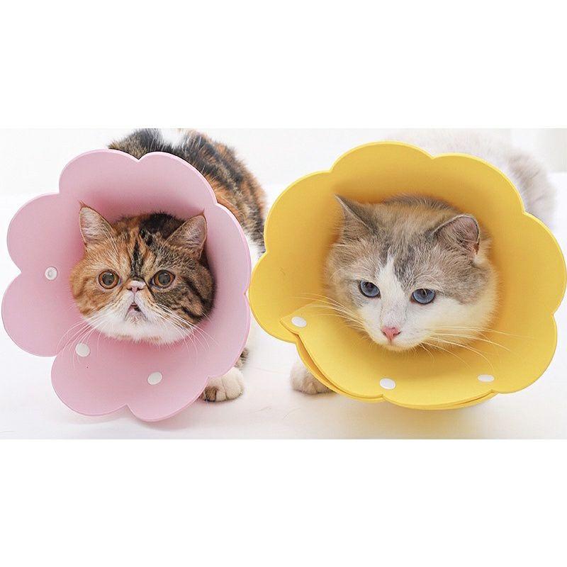 vòng loa chống liếm hình bông hoa cho chó mèo thú cưng