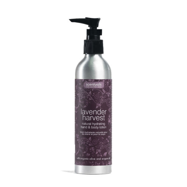 Sữa Dưỡng Thể Lavender Harvest Lavender Harvest Natural Hydrating Hand &amp; Body Lotion Scentuals (250ml)