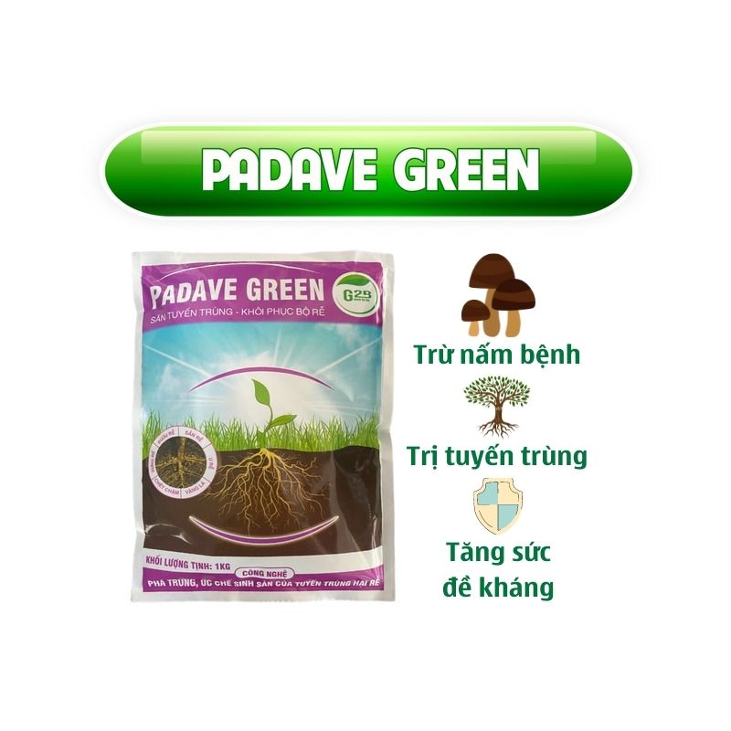 Trừ Tuyến Trùng Rễ Sinh Học Ecom , Tiêu Diệt Tuyến Trùng, Ấu Trùng Và Trứng, Phục Hồi Bộ Rễ – Padave Green 1kg