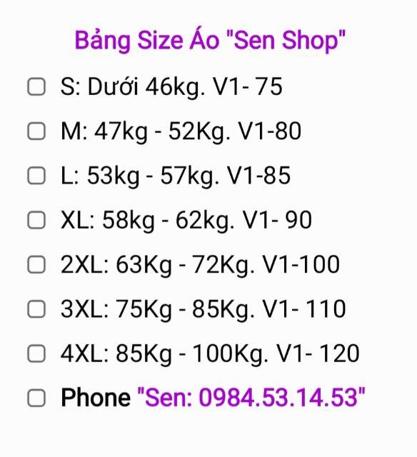 COMBO 3 ÁO NỊT TOMBOY SB TRANS KHÔNG VIỀN
