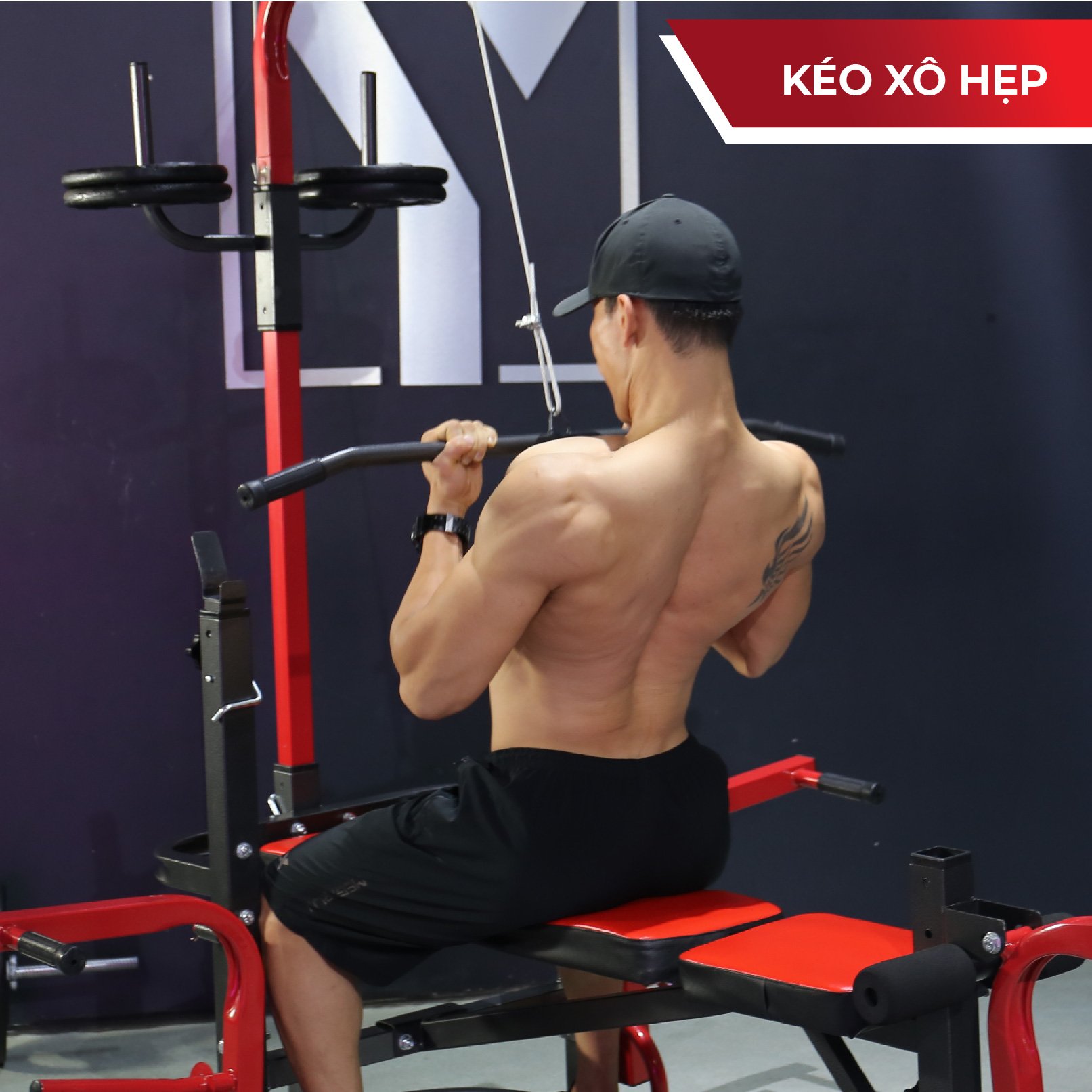 Giàn Tạ Đa Năng Zasami SGT-8210 Plus - kèm 50kg tạ gang, 1 đòn 1m5, và 1 đôi găng tay