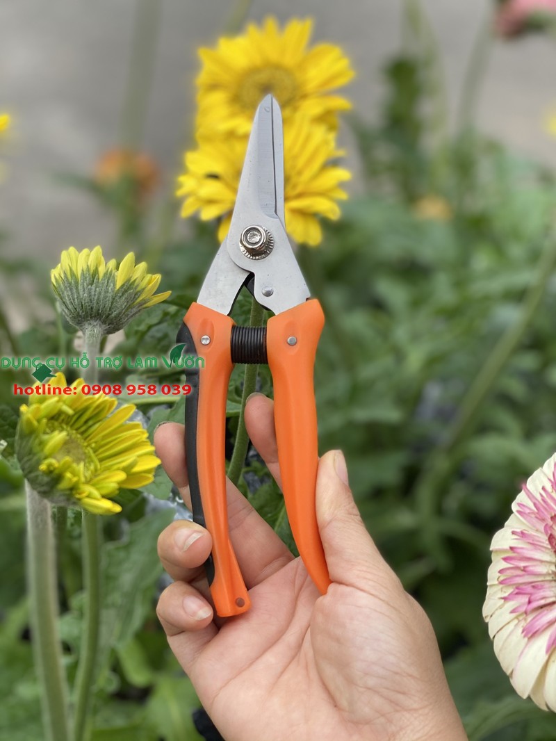 Kéo lưỡi nhọn bấm cành cây kiểng