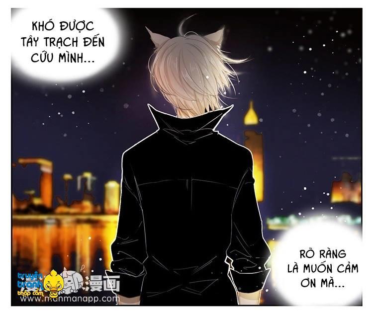 cứu mạng ! loài mèo thống trị thế giới rồi ! chapter 21 19